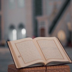 وَهِيَ تَجْرِي بِهِمْ فِي مَوْجٍ كَالْجِبَالِ وَنَادَىٰ نُوحٌ ابْنَهُ - المنشاوي