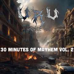30 Minutes of Mayhem Vol.2