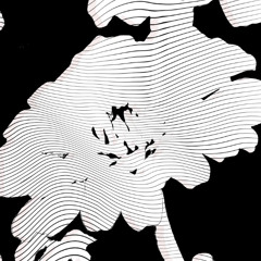 Lycoris (feat. Hozvverd)