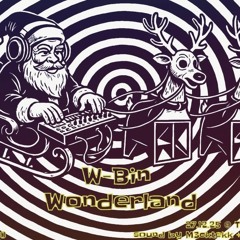 M3cktekk W-Bin Wounderland