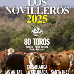 Germán Morixe - Los Novilleros