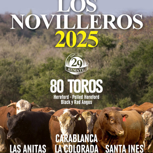 Germán Morixe - Los Novilleros