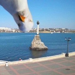 Crazy In Love (Originally by Beyonce) - Matty Dracarys