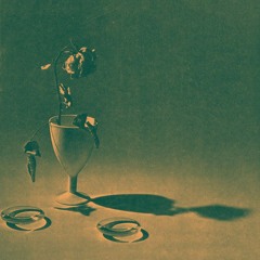 Forager Records 091025