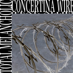Concertina Wire (feat. allie)