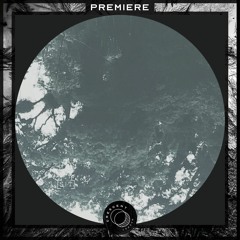 PREMIERE: Aucuba Replica - Corossol