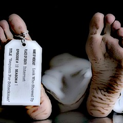 Look Who Showed Up ep 12 "Requiem For Scheckman"