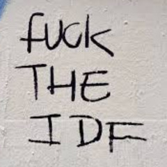 IDF (IDIOT DEFENSE FORCE) prod. vmkcalling