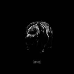 APOCALIPSE - THIS IS HARDCORE