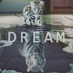 EUPHORIC DREAMS ☮️