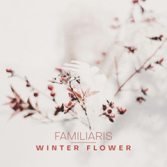 Winter Flower