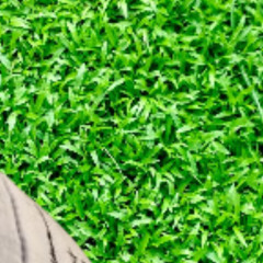 've been smoking weed all day...