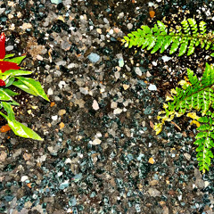 burn a hole! feat. farewell, tomorrow (PROD. 2UKKO)