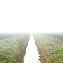 Hark! The Village wait