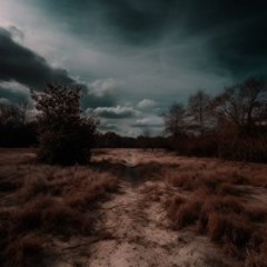 Dan Morrissey - Bad Seed