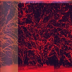 Or Are They Lying? (prod: Splashgvng)