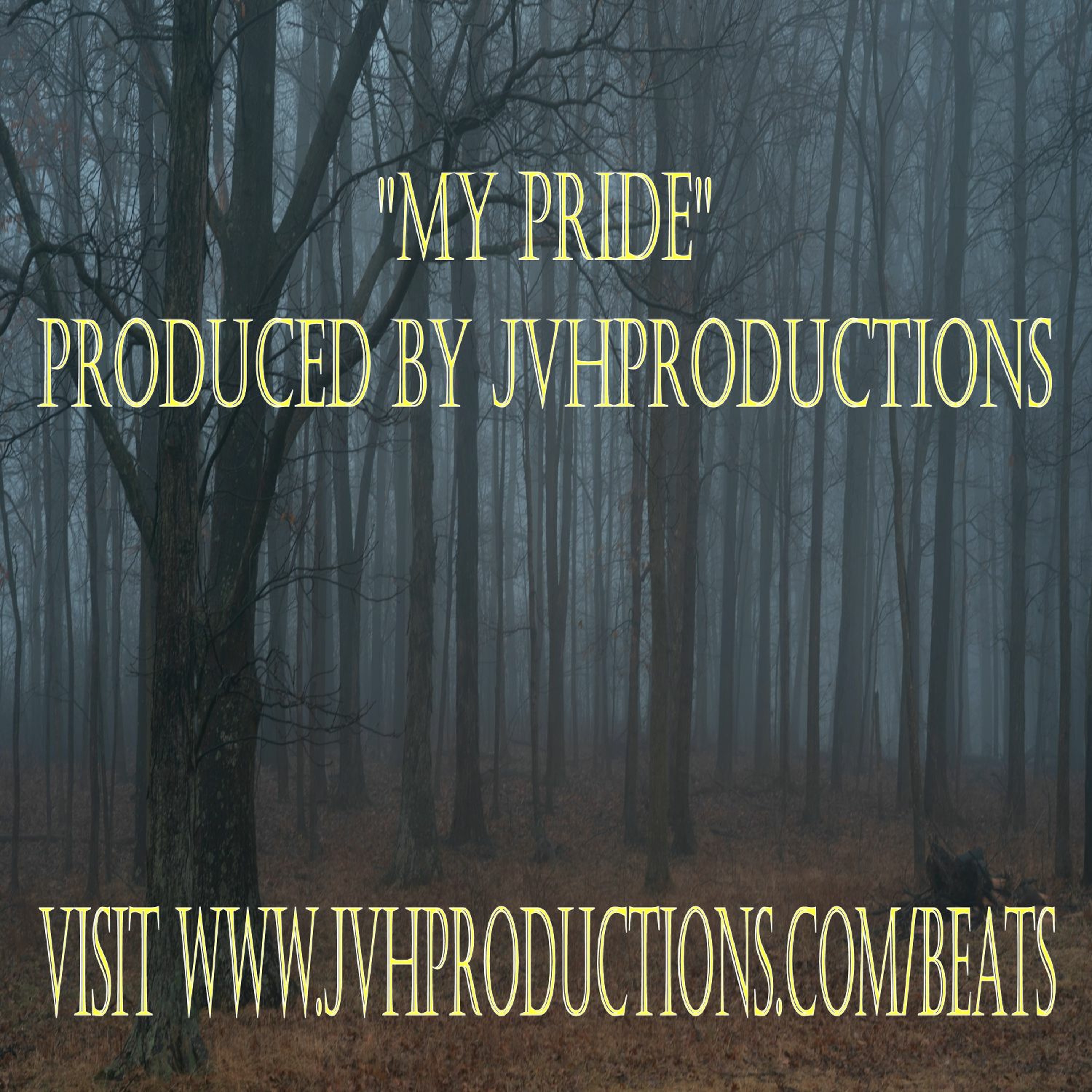 JVH Productions & Recordings