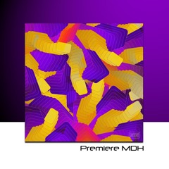PREMIERE: Gespona, Marvio (AR) - We Got The Funk [Rummel Music]