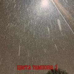 цвета тампона