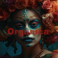 DJ Hadi Organic Deep Mix 2023 First Edition ( Ethnic Organica Oriental Deep House )