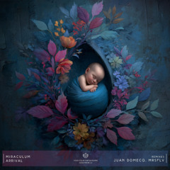 Miraculum, almok terme - Arrival (Radio Version) [Stellar Fountain]