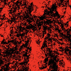 Alacee Texas in the Maze |01.01.22|