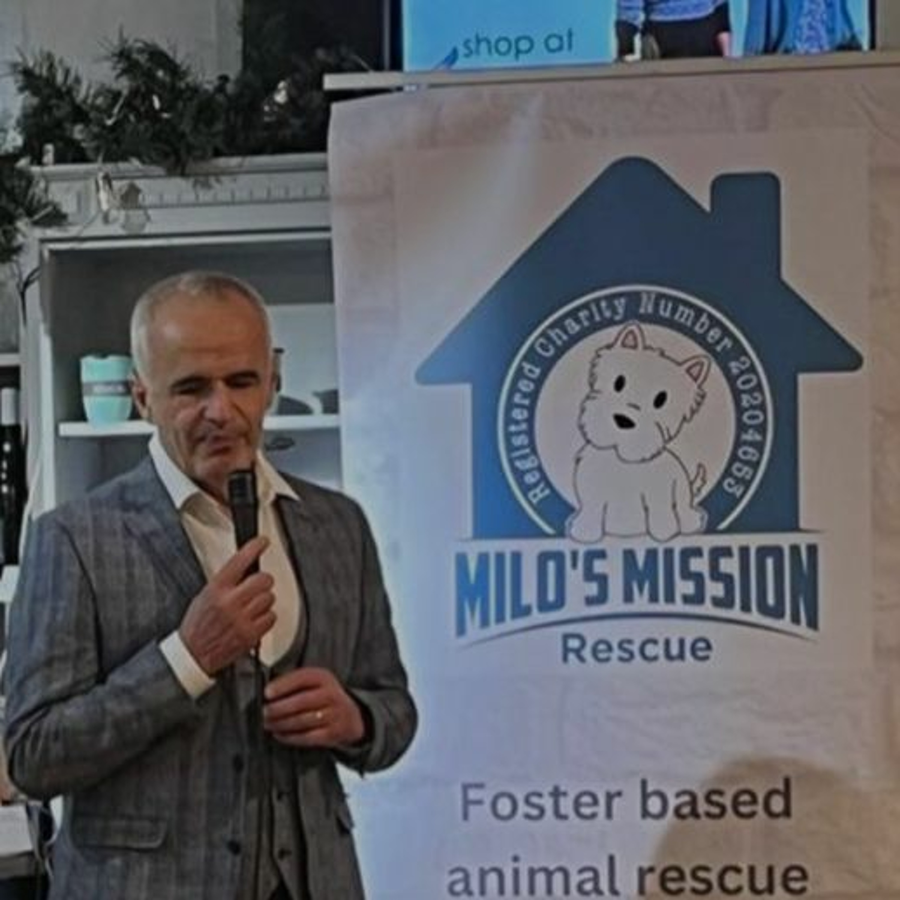 From feral cats to foster rescues