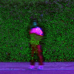 FUCK WE ON | 2012 - JOEY PURP REMIX