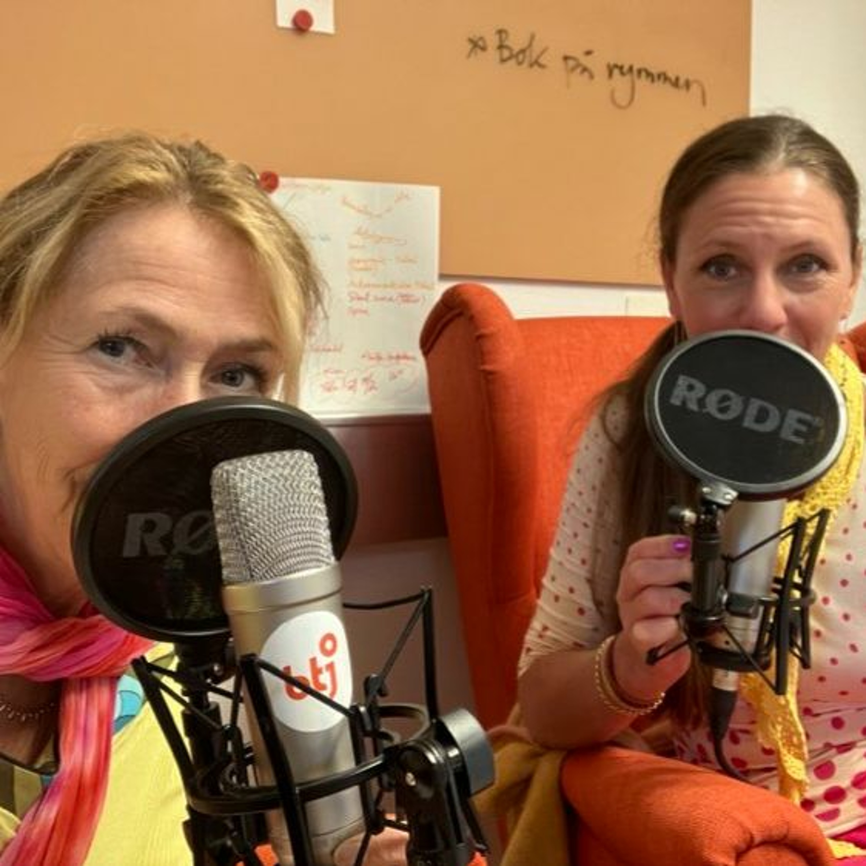 Flödet - en podd om skolbibliotek