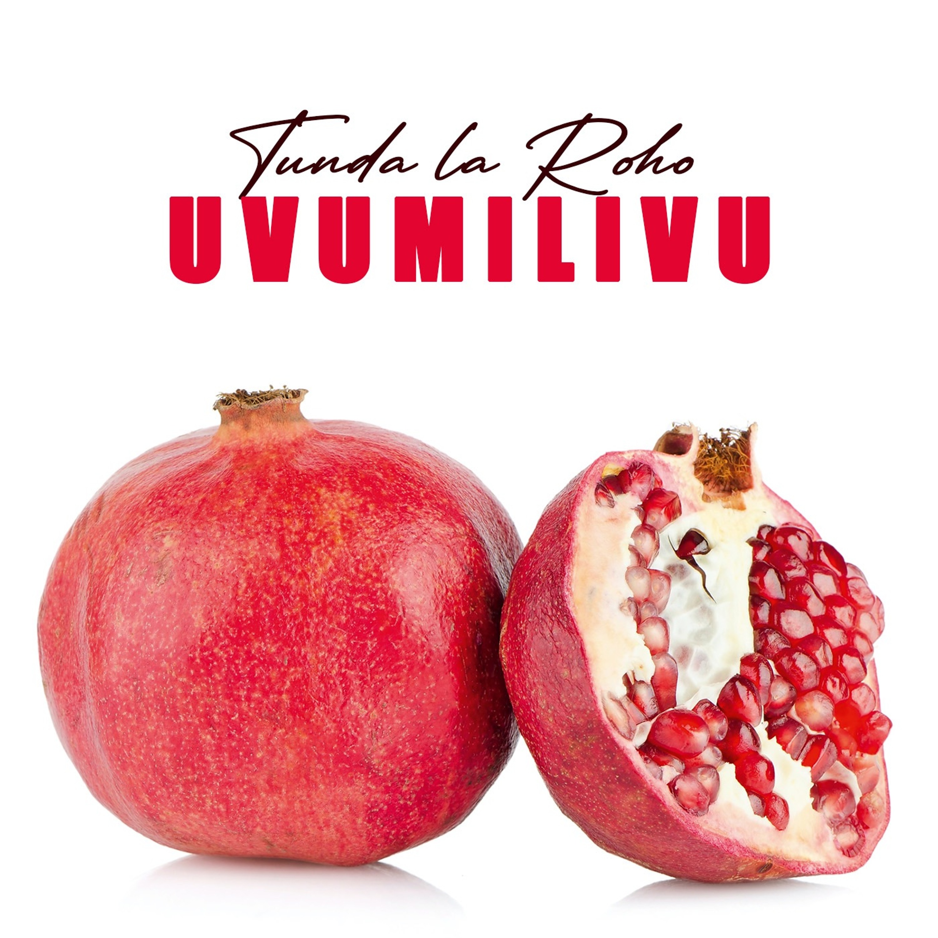 FUATA BIBLIA IKUONGOZE