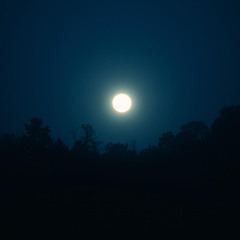 The Shining Moon