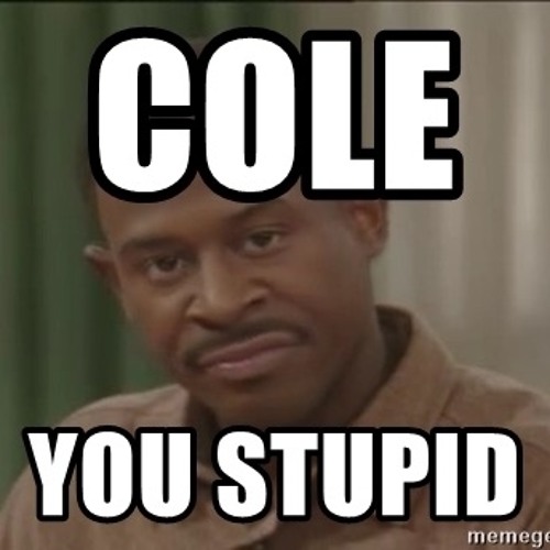 Are You Stupid Meme
