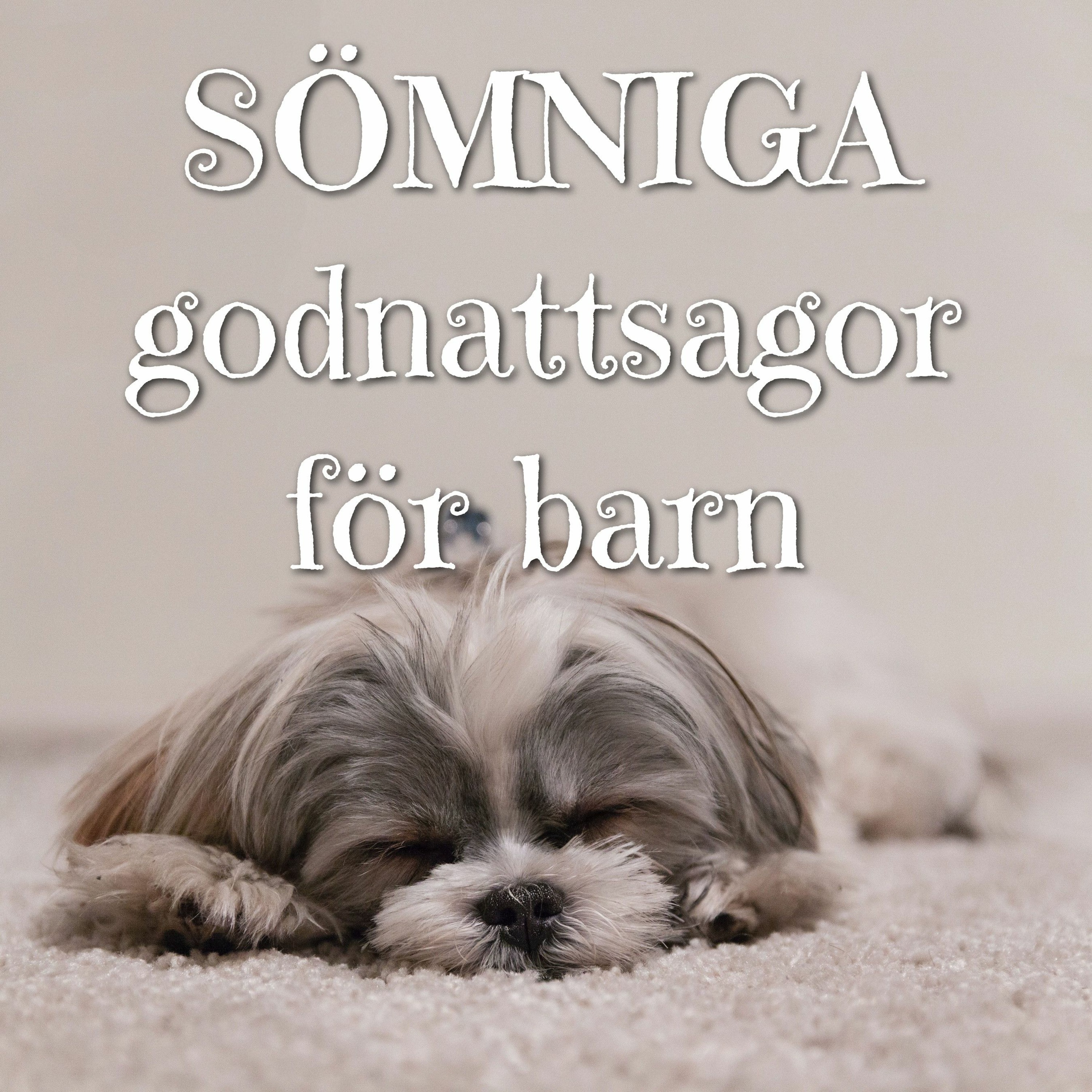 Godnattsagor för barn