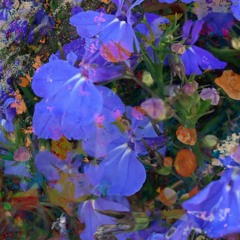 extinguishing kiss & rose cherami - only time (enya)