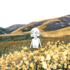 6h (prod - Sheloo)