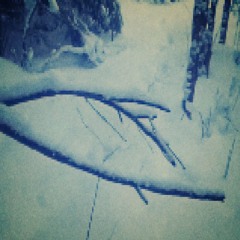 winter prod.wingsxrra