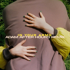 In Your Arms (Adam After Hours Remix)