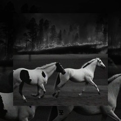 LINEA - Blueice & Deep Prision