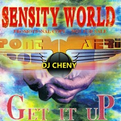 Flaying Free Ft Get It Up - Pont Aeri, Sensity World (Dj Cheny Mashup)