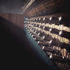 Rush To Sleep (Live sessions)