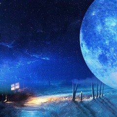 Windows Watching the Moon, instrumental prog*