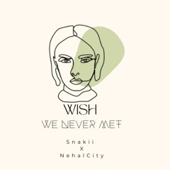 Snakii X NehalCity - Wish We Never Met
