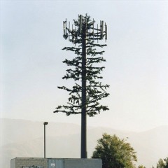 40 °C Sous La Pinède De L'Aber Wrach - Été 2022