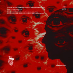 Premiere: Octave, Lukea - Space [LUBDUB012]