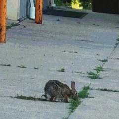 isn't that funny oh nobody knows ok sorry then