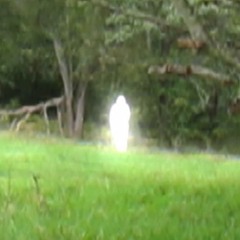 jumping the shark (om jag var)