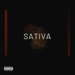 sativa