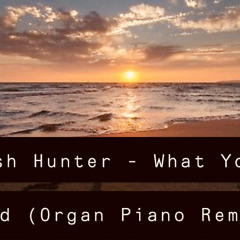 Ash Hunter - Got What You Need ( Organ Piano Remix) - FREE DOWNLOAD