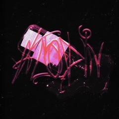 LHTH - ACODIN ft. SHEDER [VISUALIZER]