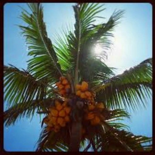 DJ FLE - CHRISJES - TO LOVE SOMEBODY.mp3
